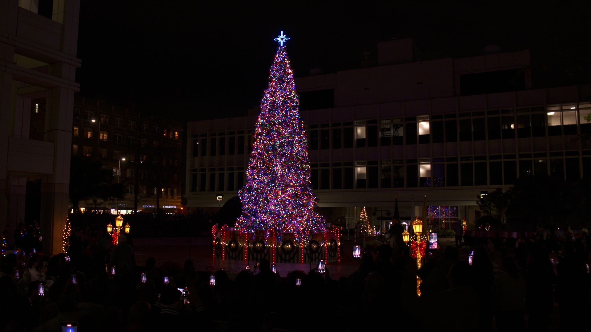 Holiday Tree Lighting 2025